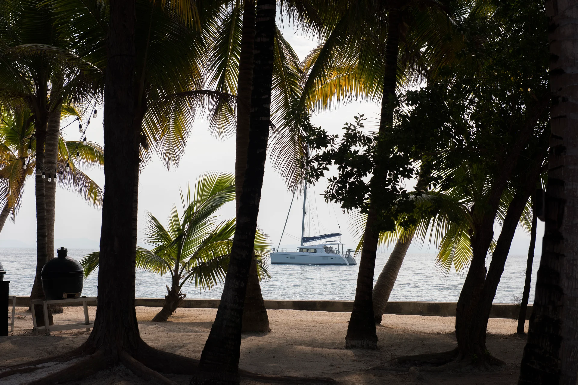 Catamarano che costeggia una spiaggia con palme in Belize