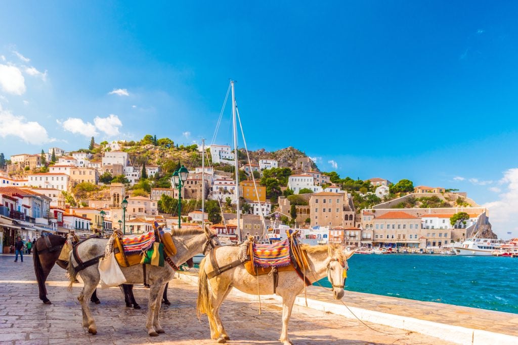 vacances en bateau à athènes, âne dans un village grec typique