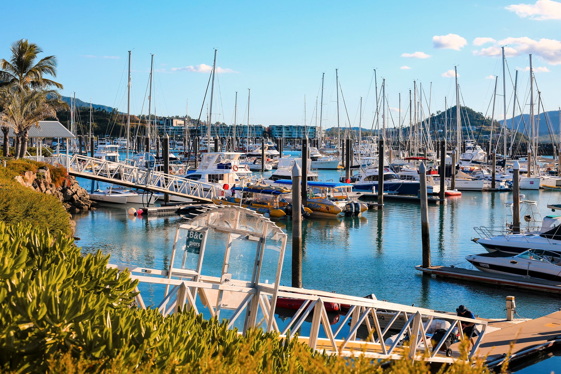 Yachts et catamarans australiens ancrés dans le port