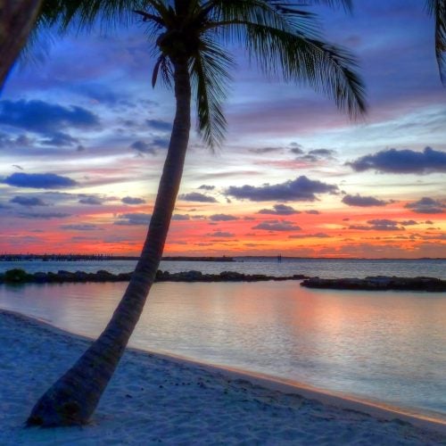 Abaco sunset beach palms