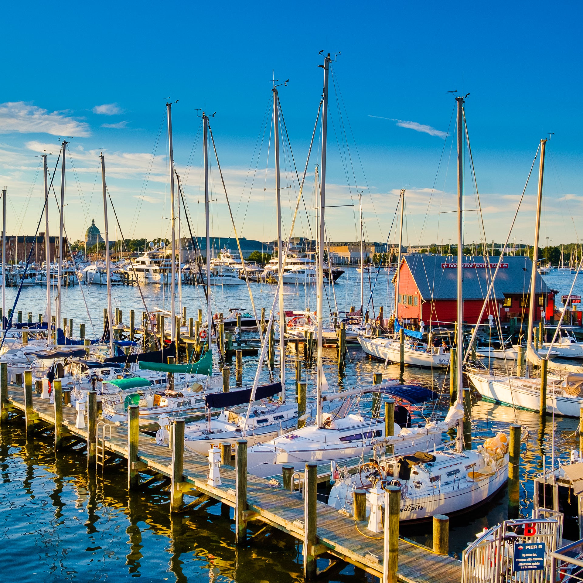 Annapolis hamn med båtchartrar