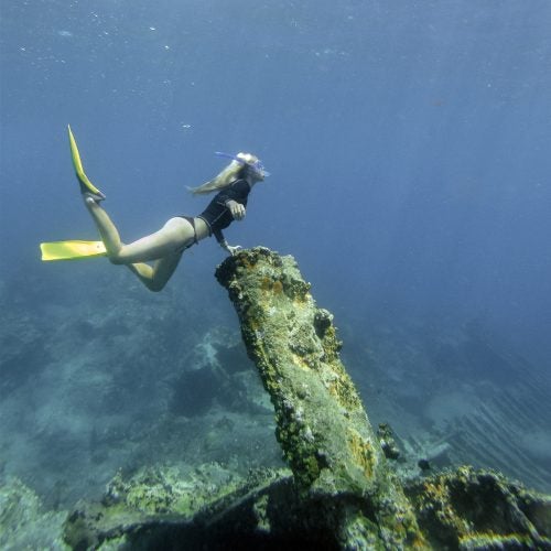 bvi diving adventure sea life