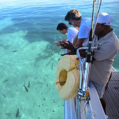 Maldives wildlife yacht charter