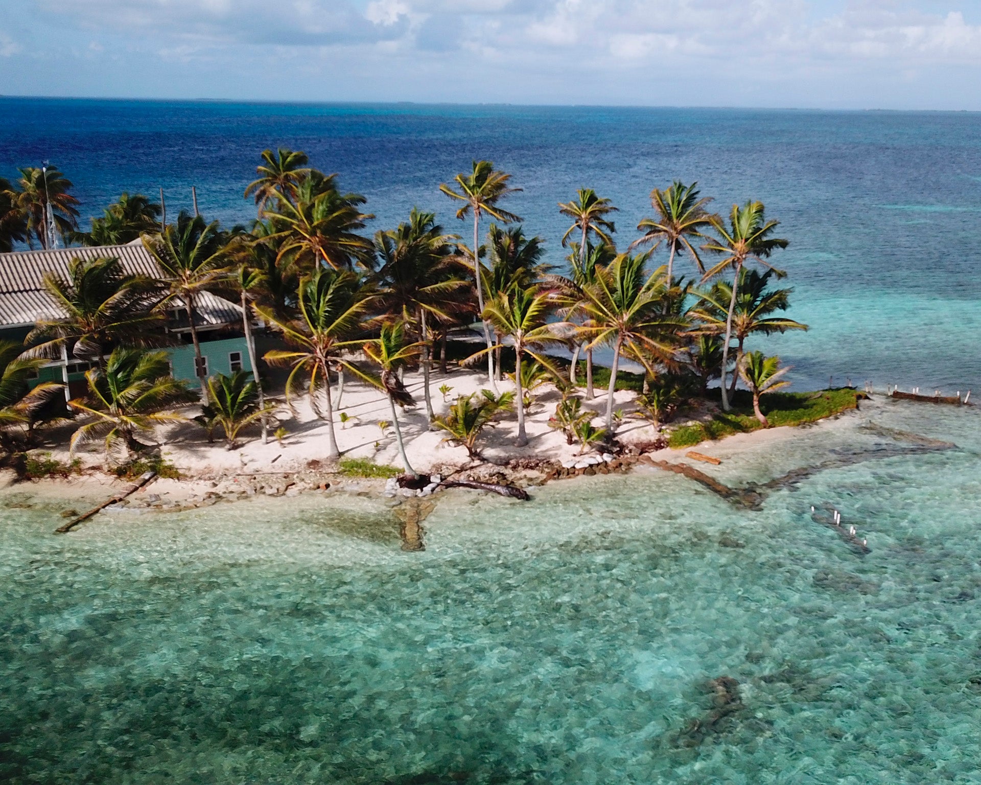 Belize island palms crystal beach yacht