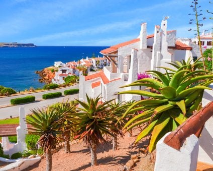 balearic islands colorful palms coast