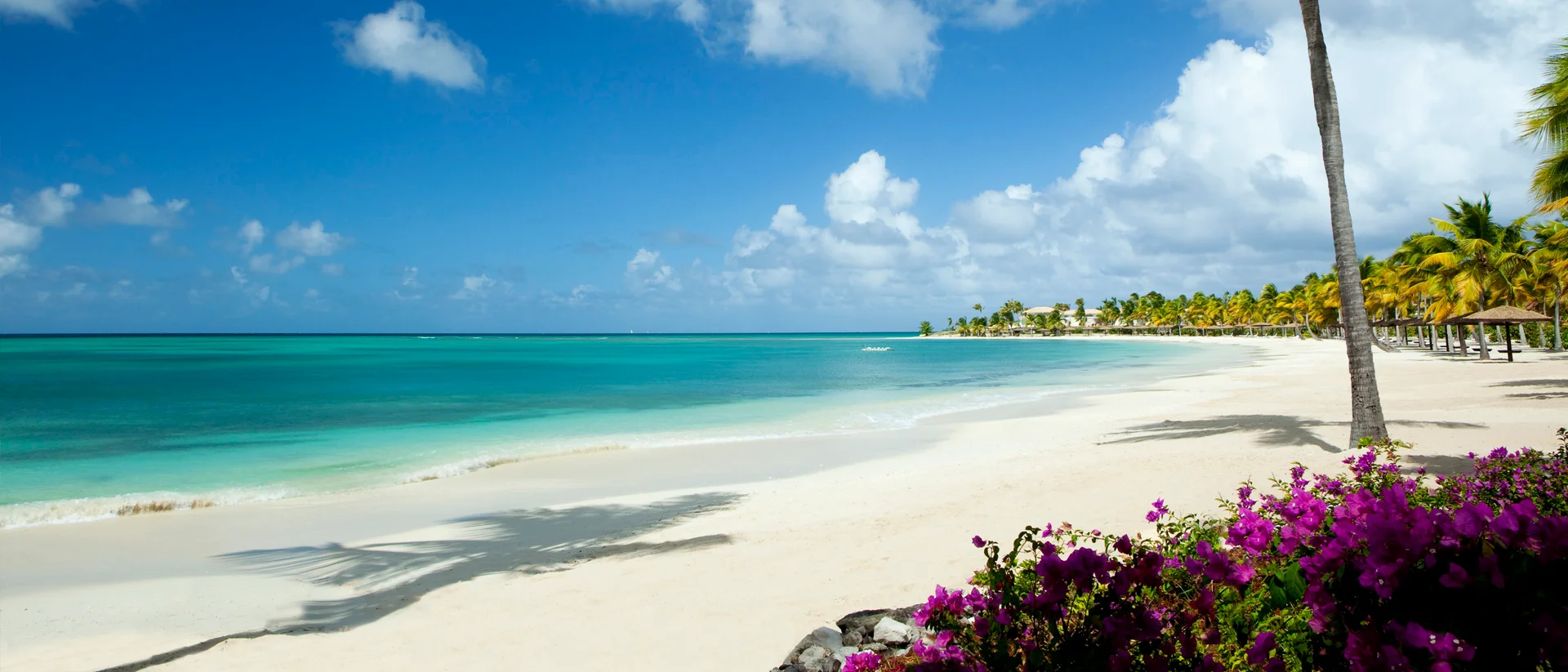 Antigua white beach crystal waters landscape