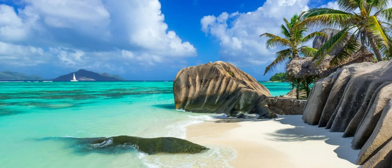 Seychelles natural beach landscape palms