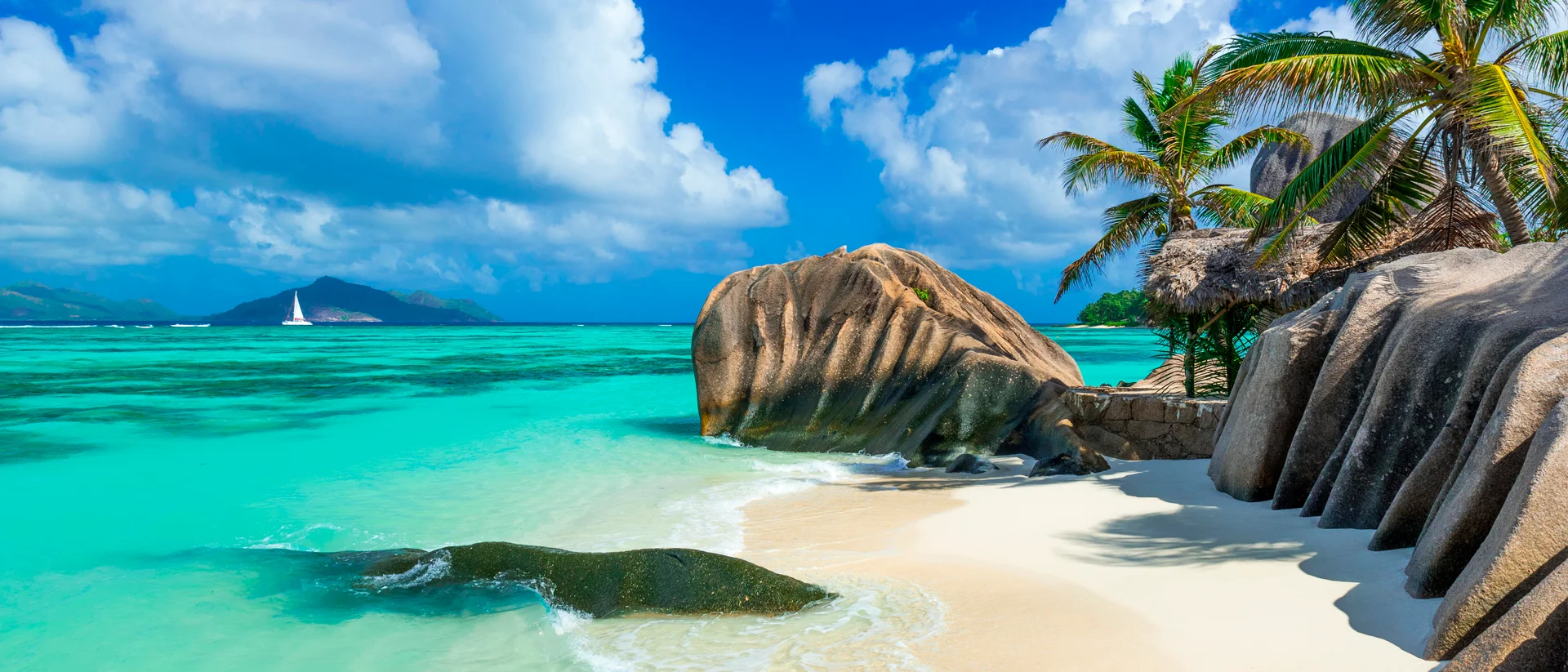 Seychelles natural beach landscape palms