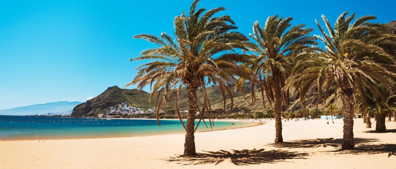 Tenerife beach palms summer vacation