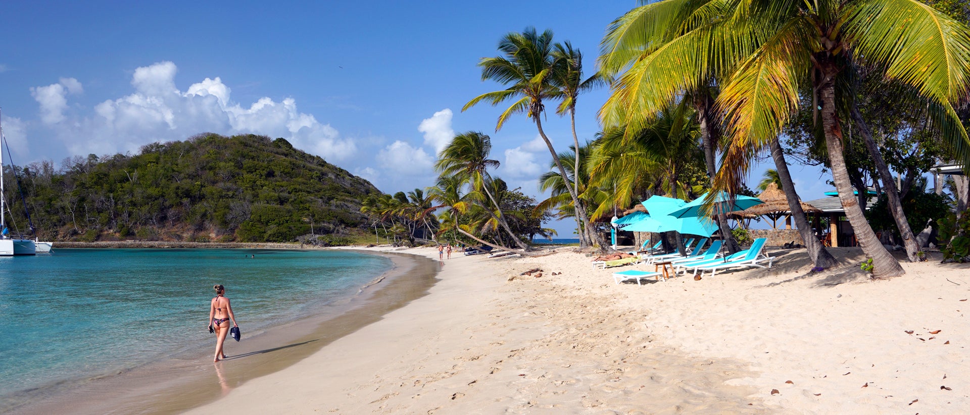 Martinique natural beach palms