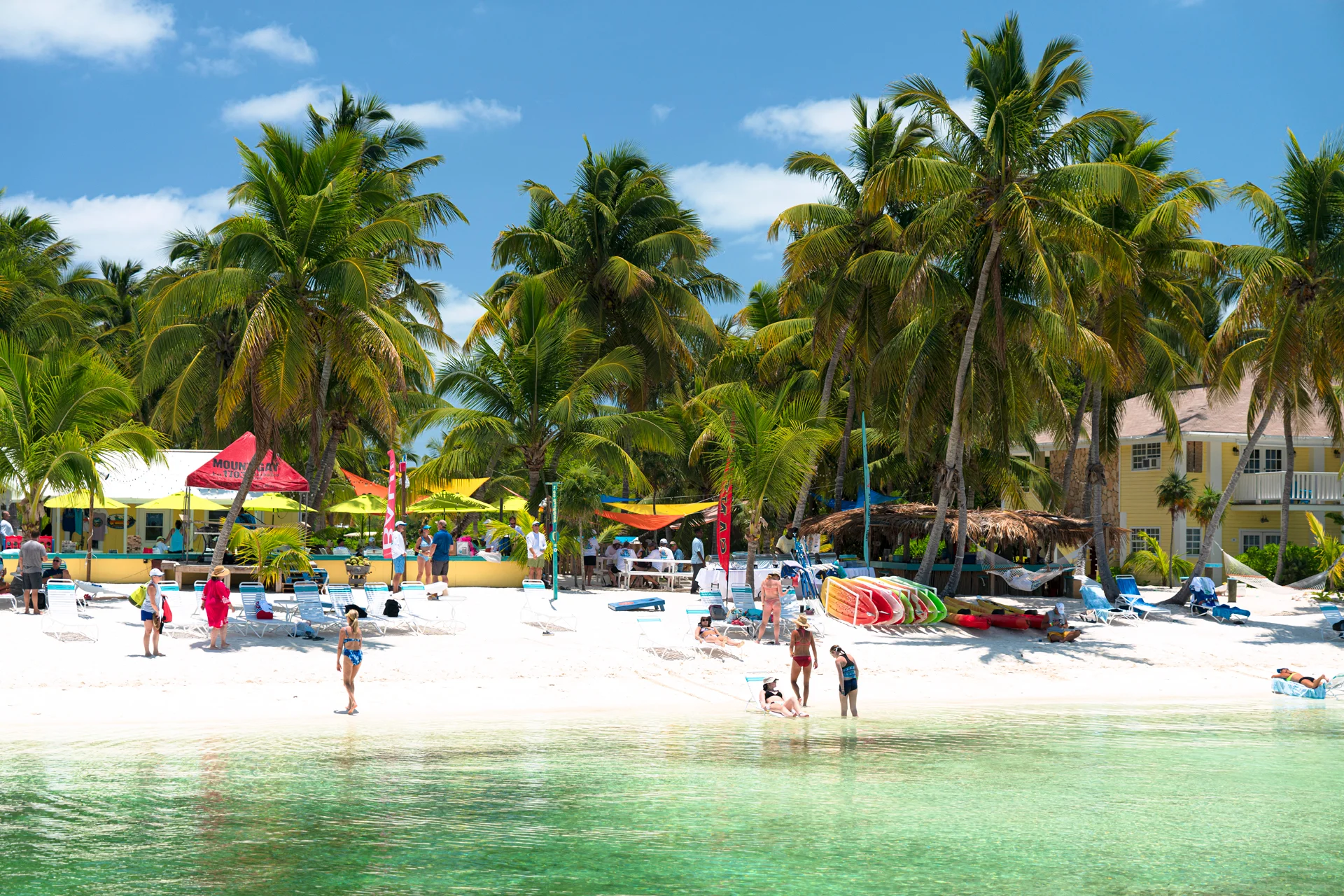 îles abacos vacances sur une plage avec des palmiers 