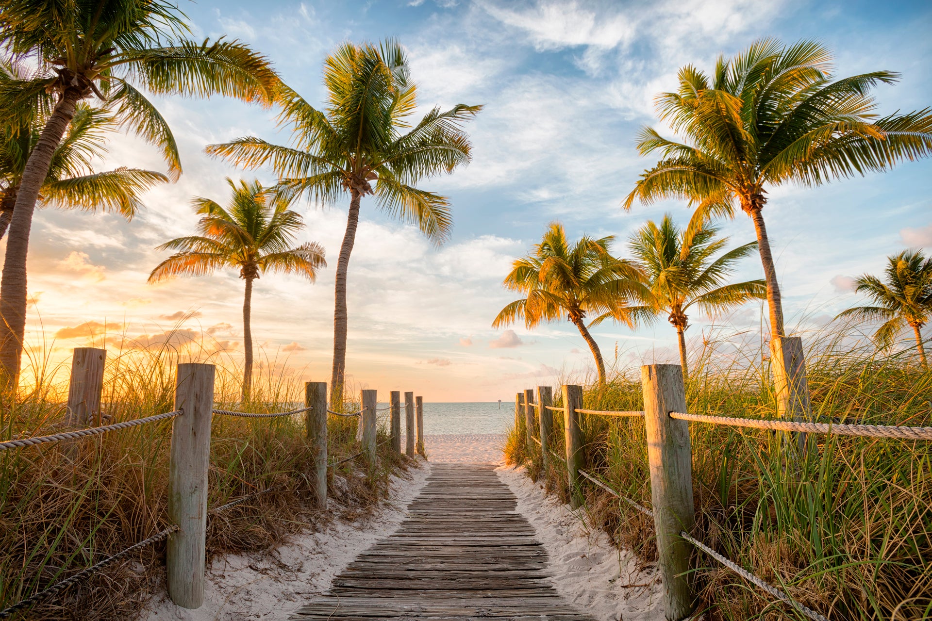 USA strand palmen zonsondergang
