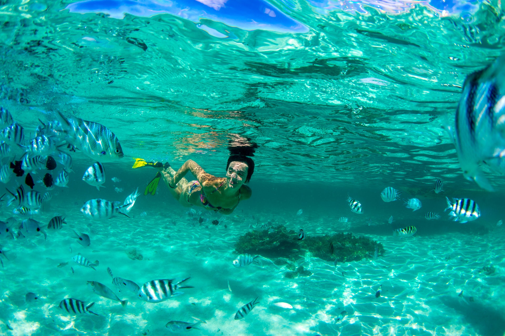 Femme plongeant au milieu des poissons lors de vacances dans l'océan Indien