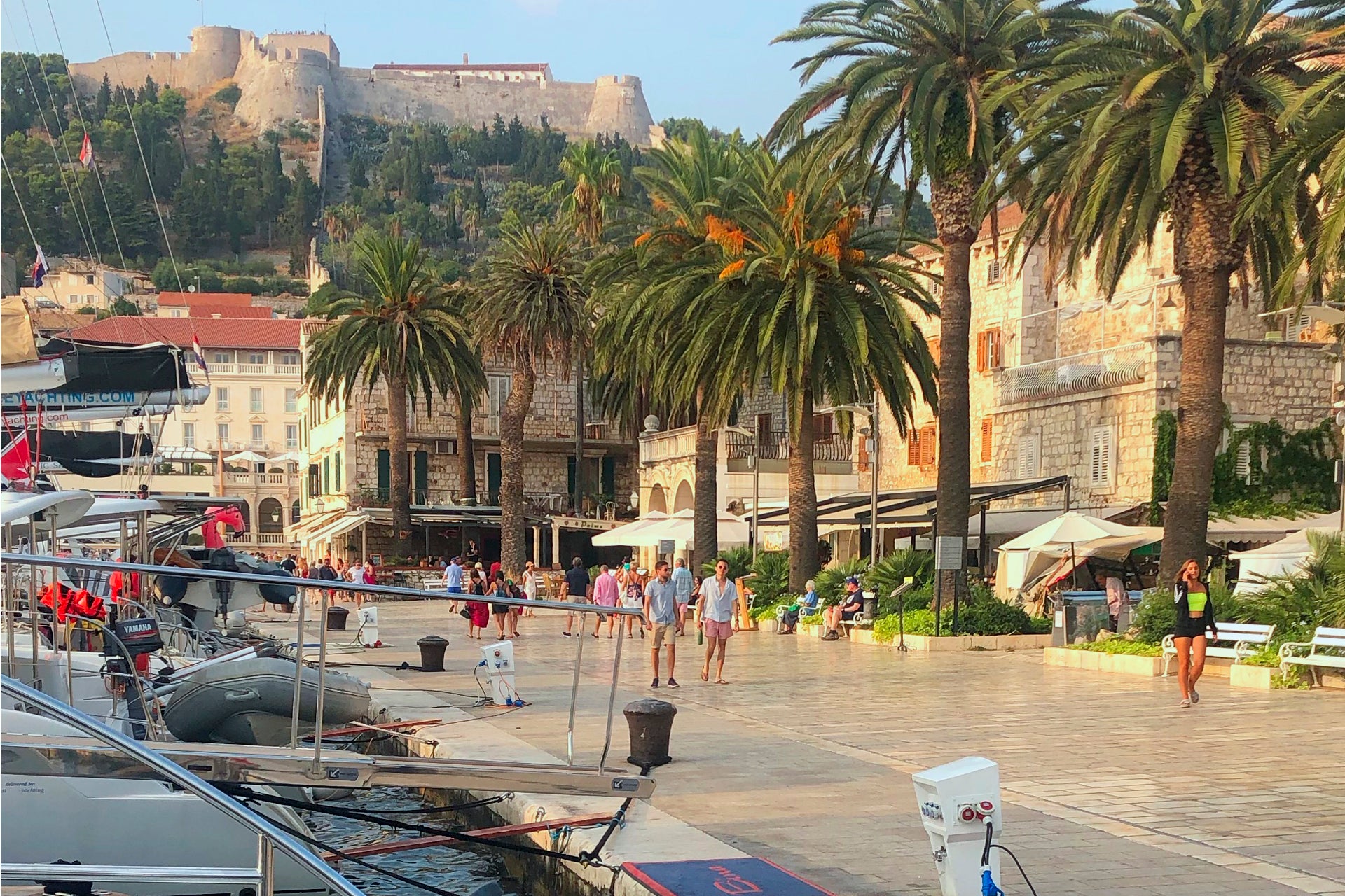 Trogir sea way port palms