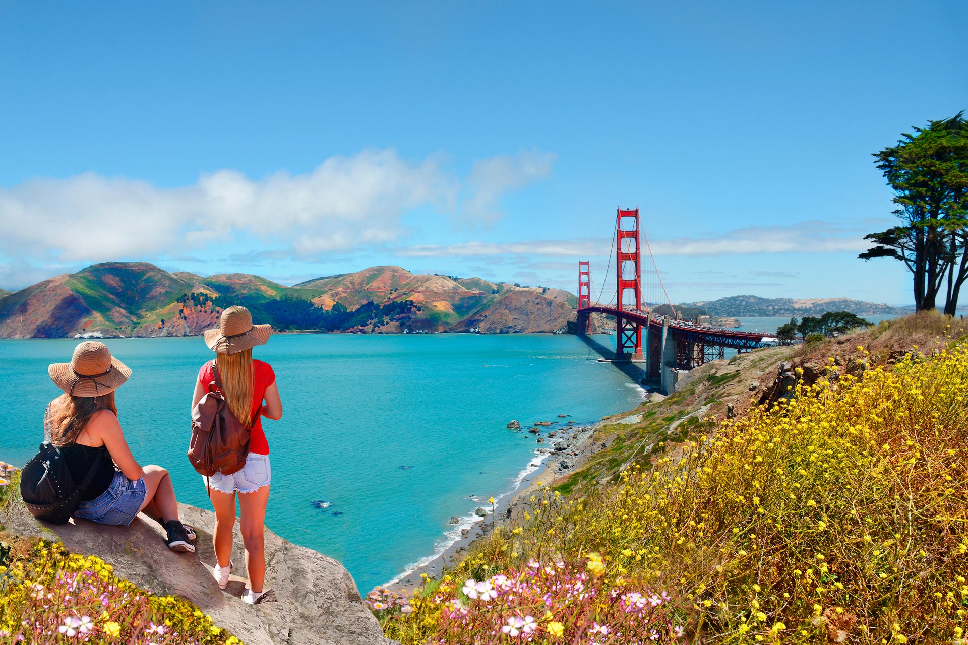 Het paar van Amerika kijkt op vakantie naar een baai en een brug