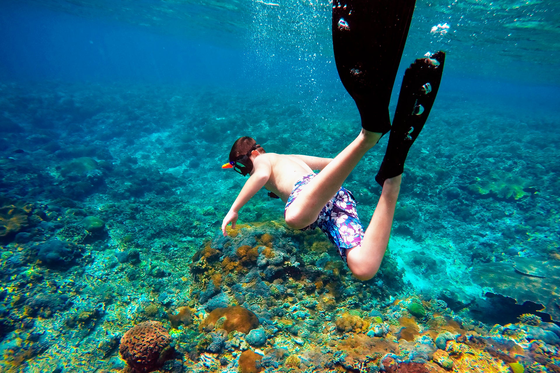 Aventura de buceo en Tenerife durante unas vacaciones familiares