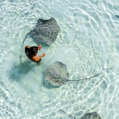 Tahiti wildlife adventure vacation