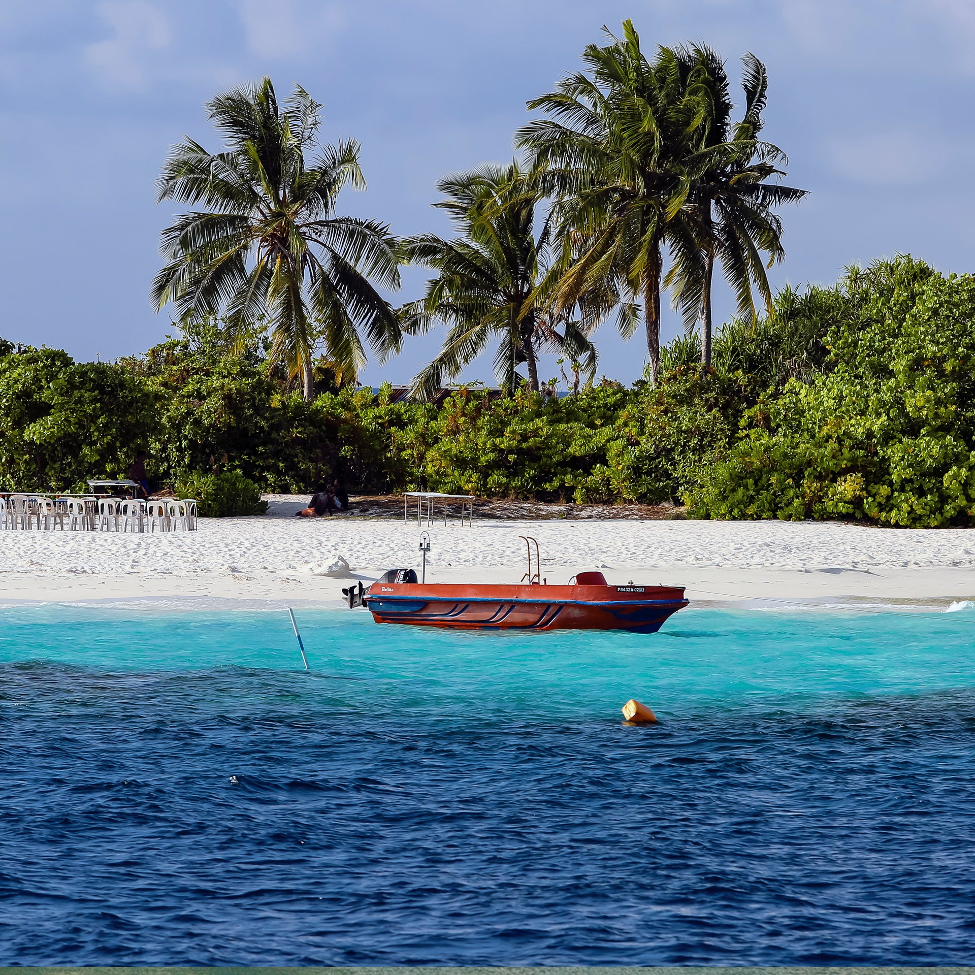 Maldives sailing beach palms