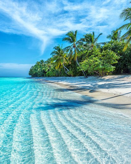 Caribbean