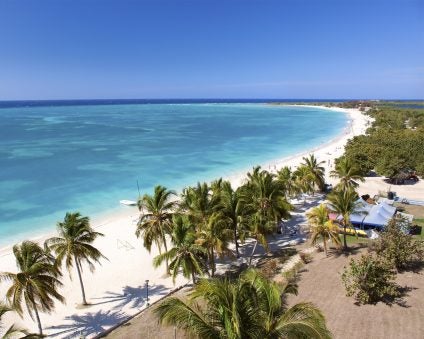 Cuba paradise beach landscape palms