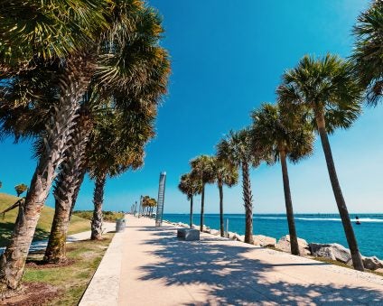 USA marina with palms and sea