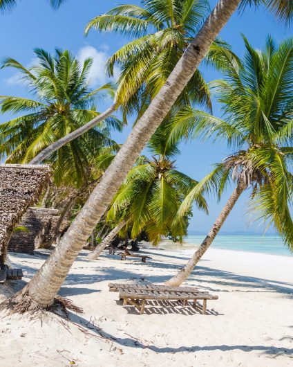 Indian Ocean palms beach with white sand