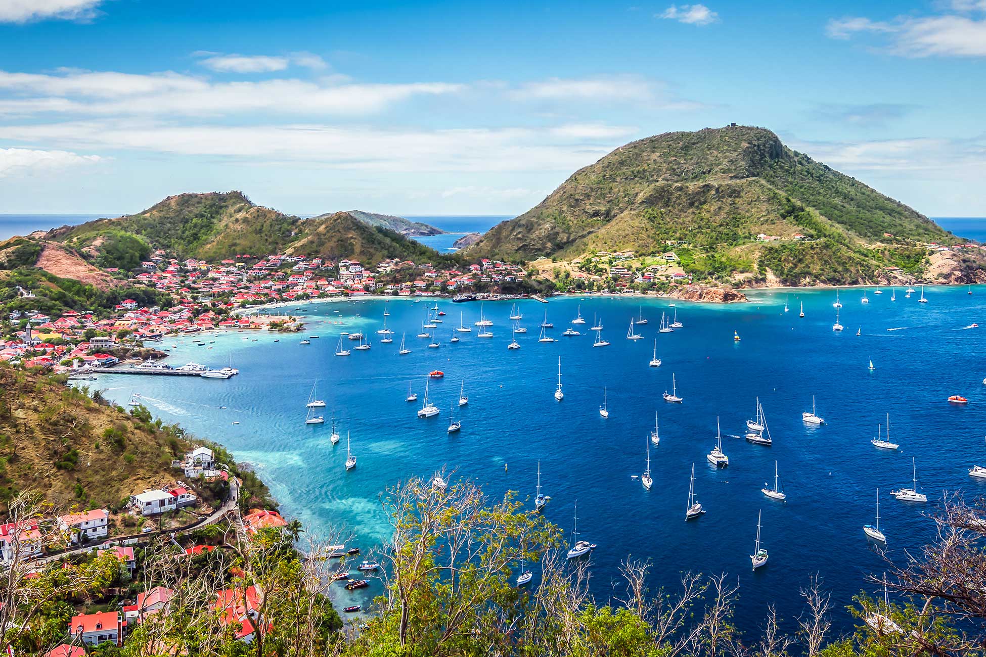 Dream Caribbean Premium 11 j / 10 n 2023