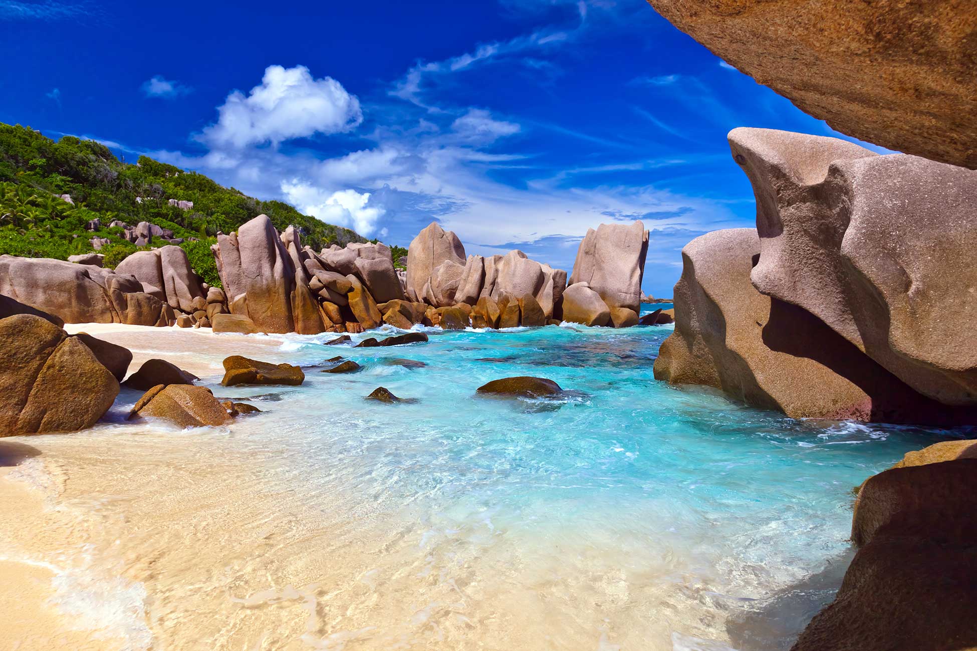 Praslin Dream