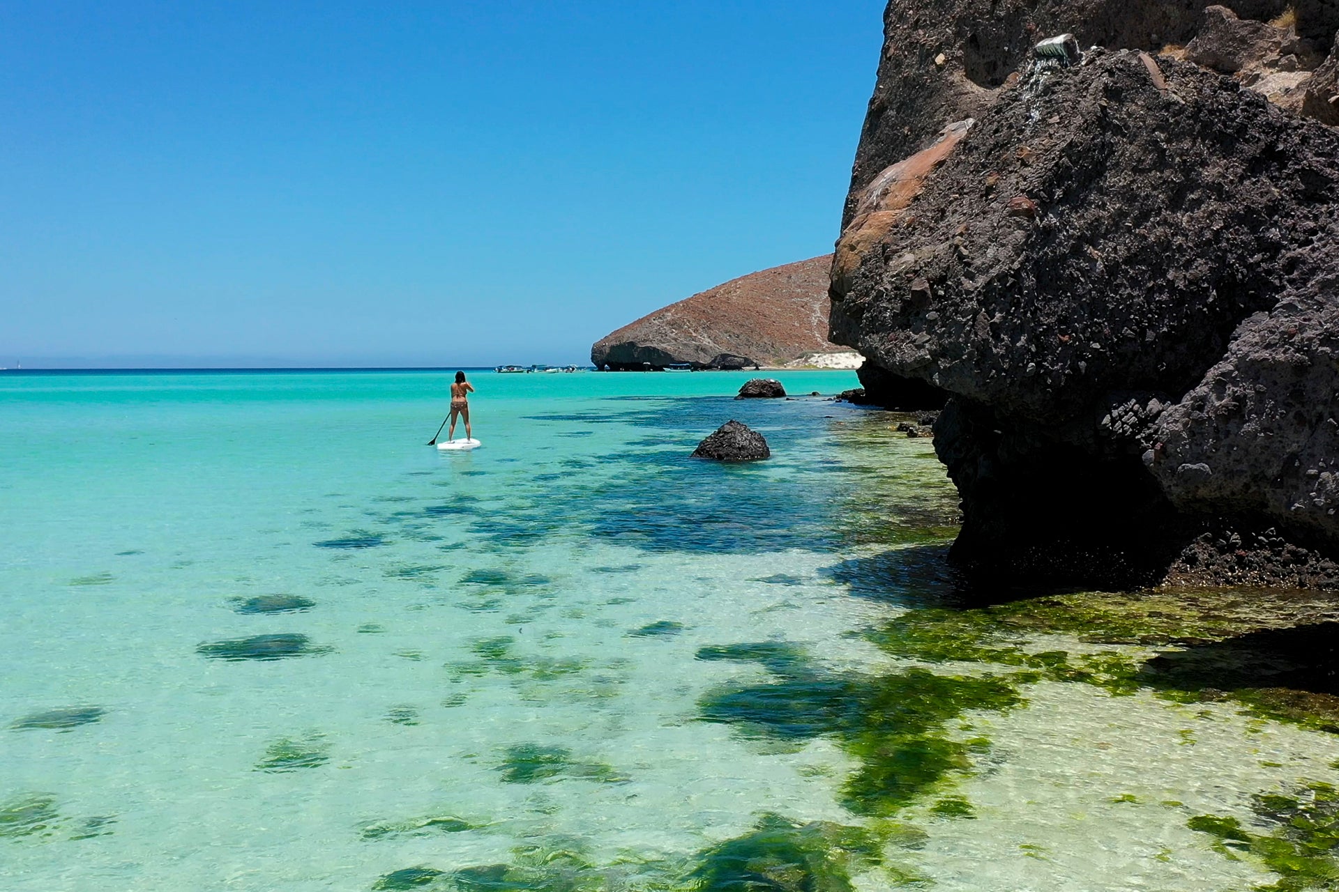 Eaux cristallines de la mer de Cortez