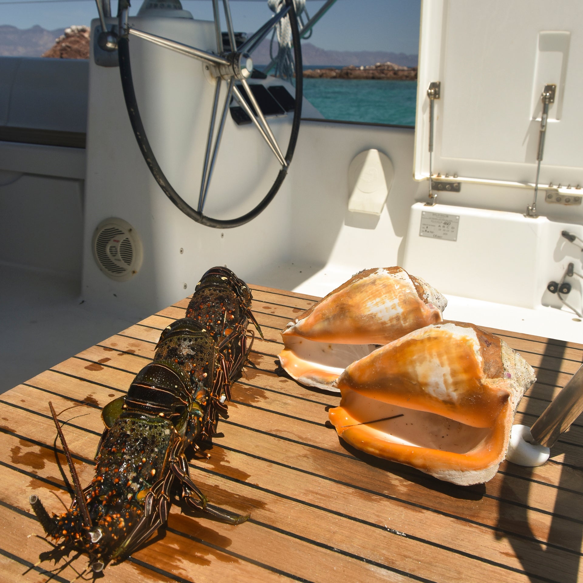 Langouste sur un bateau de location sur la mer de Cortez