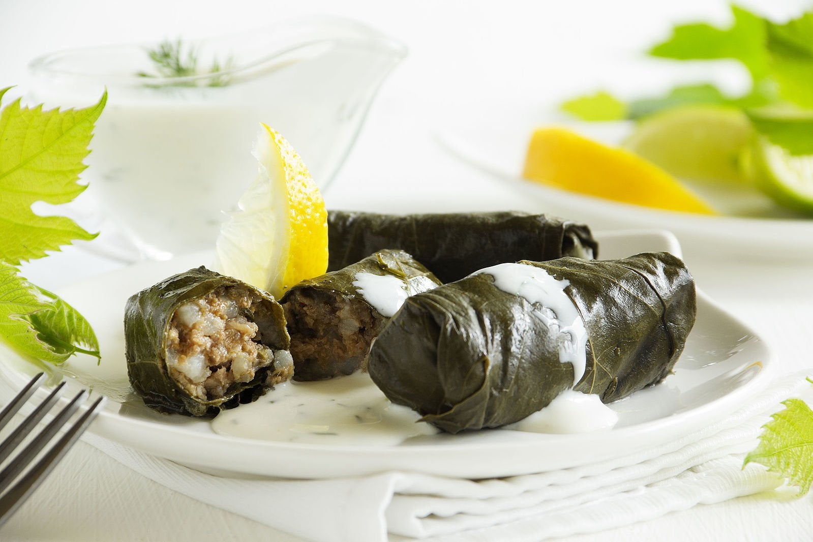 dolmadakias-Top 5 des meilleures recettes grecques que vous pouvez préparer en croisière