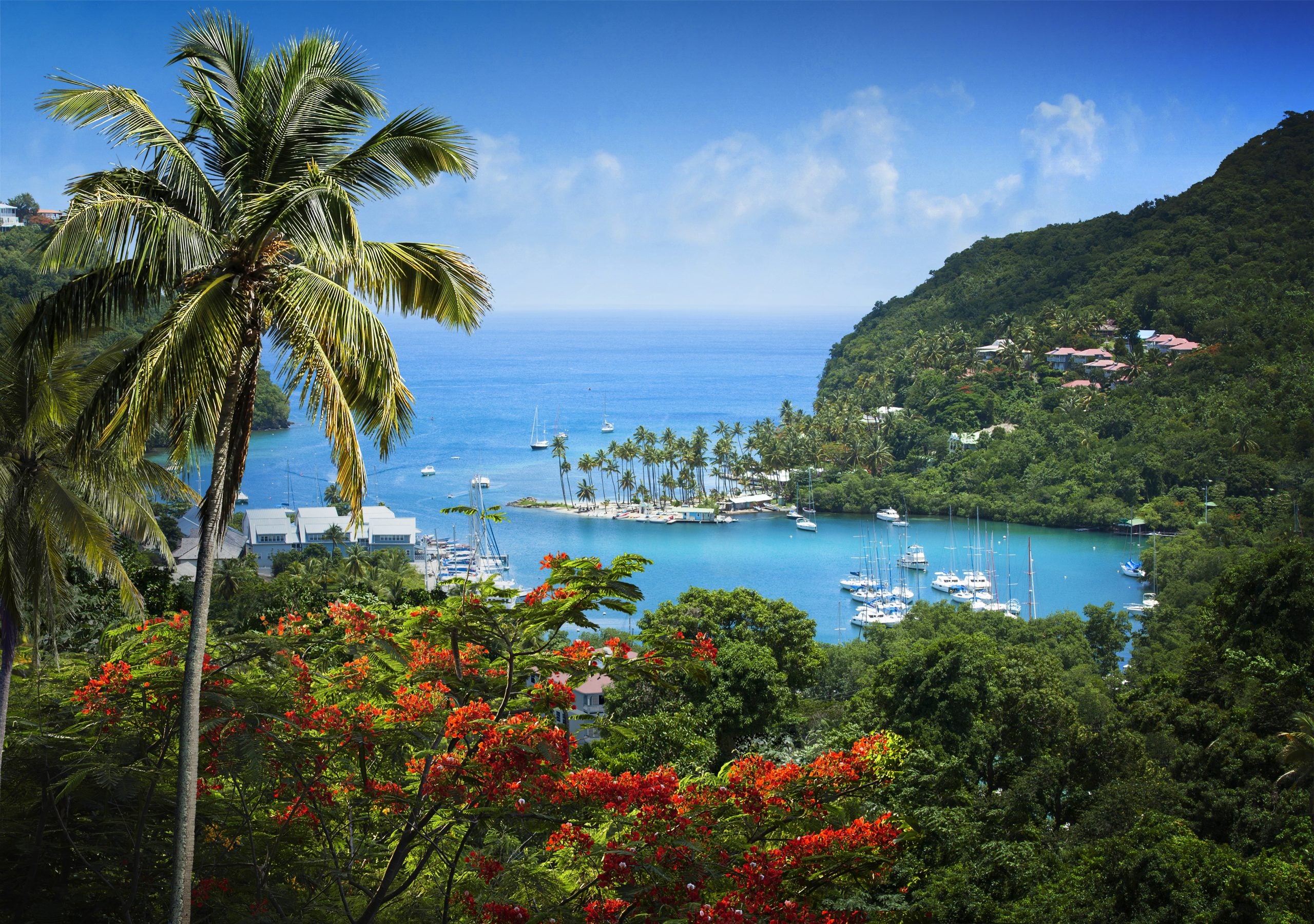 Snorkeling à Sainte-Lucie : Marigot Bay
