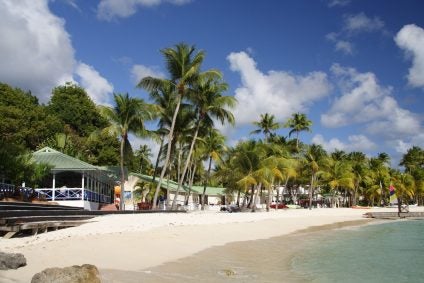 trees and stores on the beach