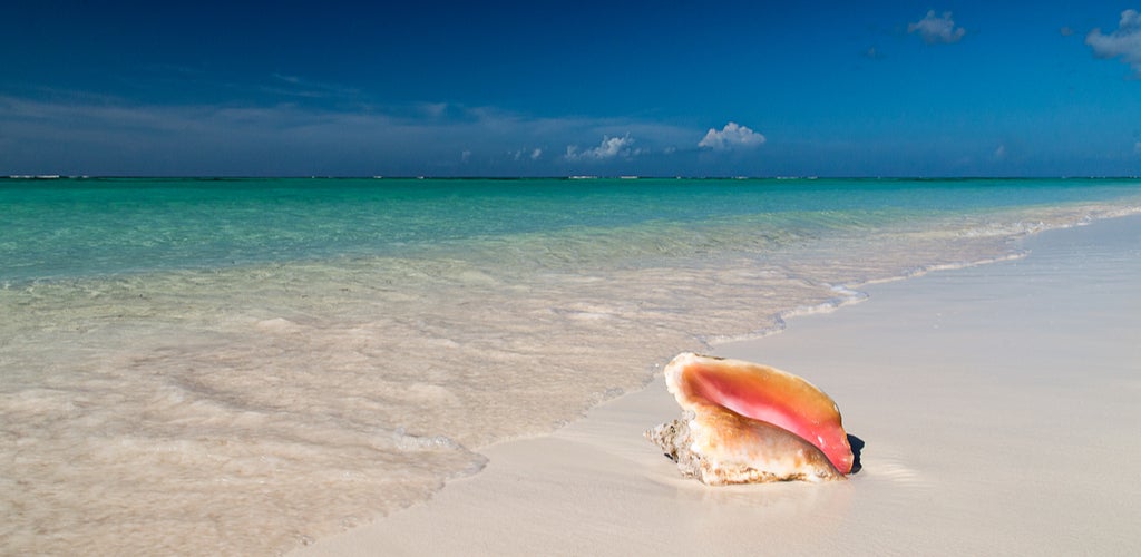 Sailing in the BVI - Cow Wreck Beach