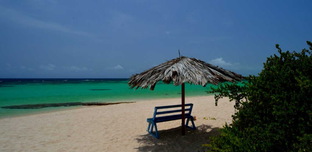 Sailing in the BVI - Loblolly Bay