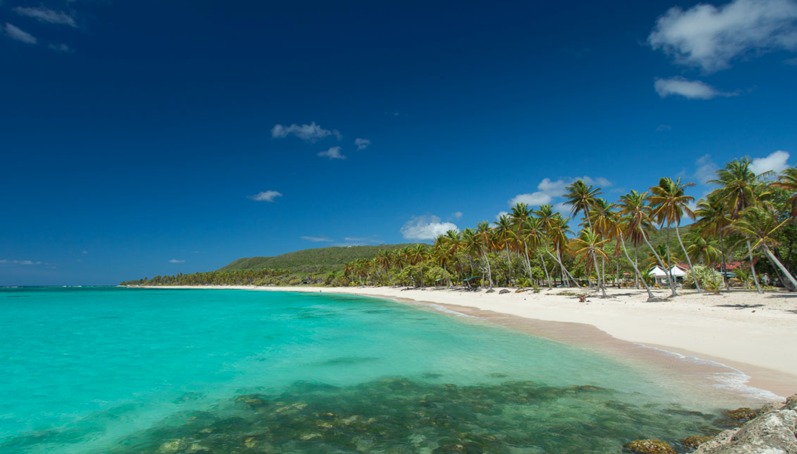 top 10 plus belles plages de guadeloupe plus belles plages de martinique-Croisière Dream Yacht Charter-plus belles plages des antilles françaises