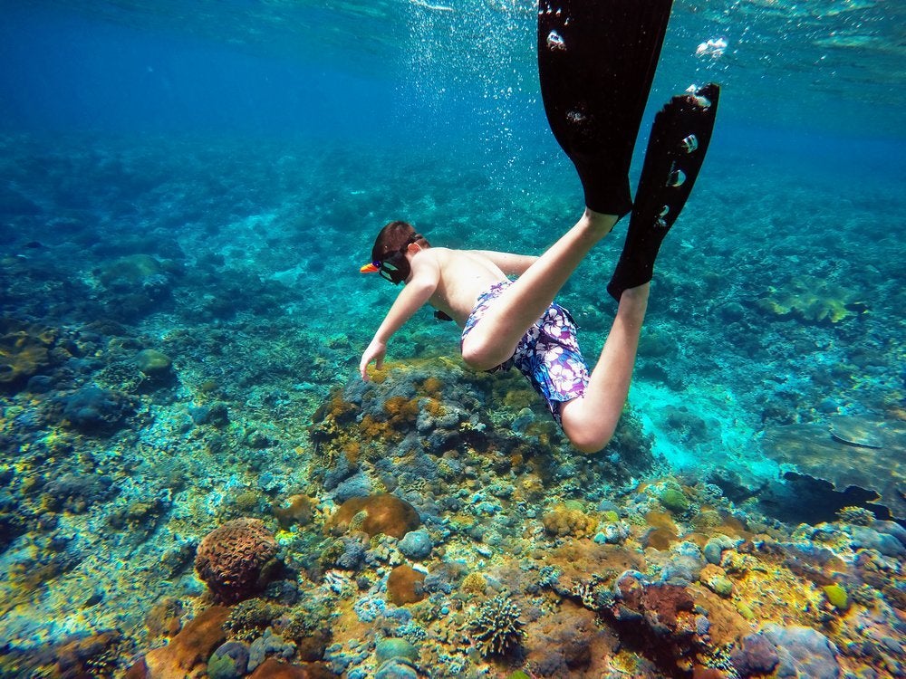 snorkeling