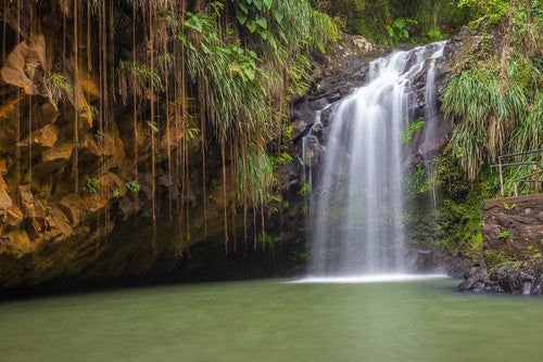 Waterfall at Grand Etang National Park, Grenada
