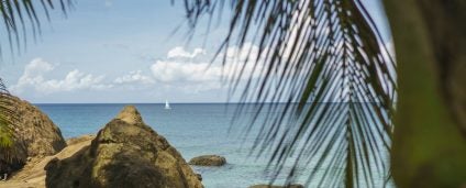Top five reasons to visit Grenada