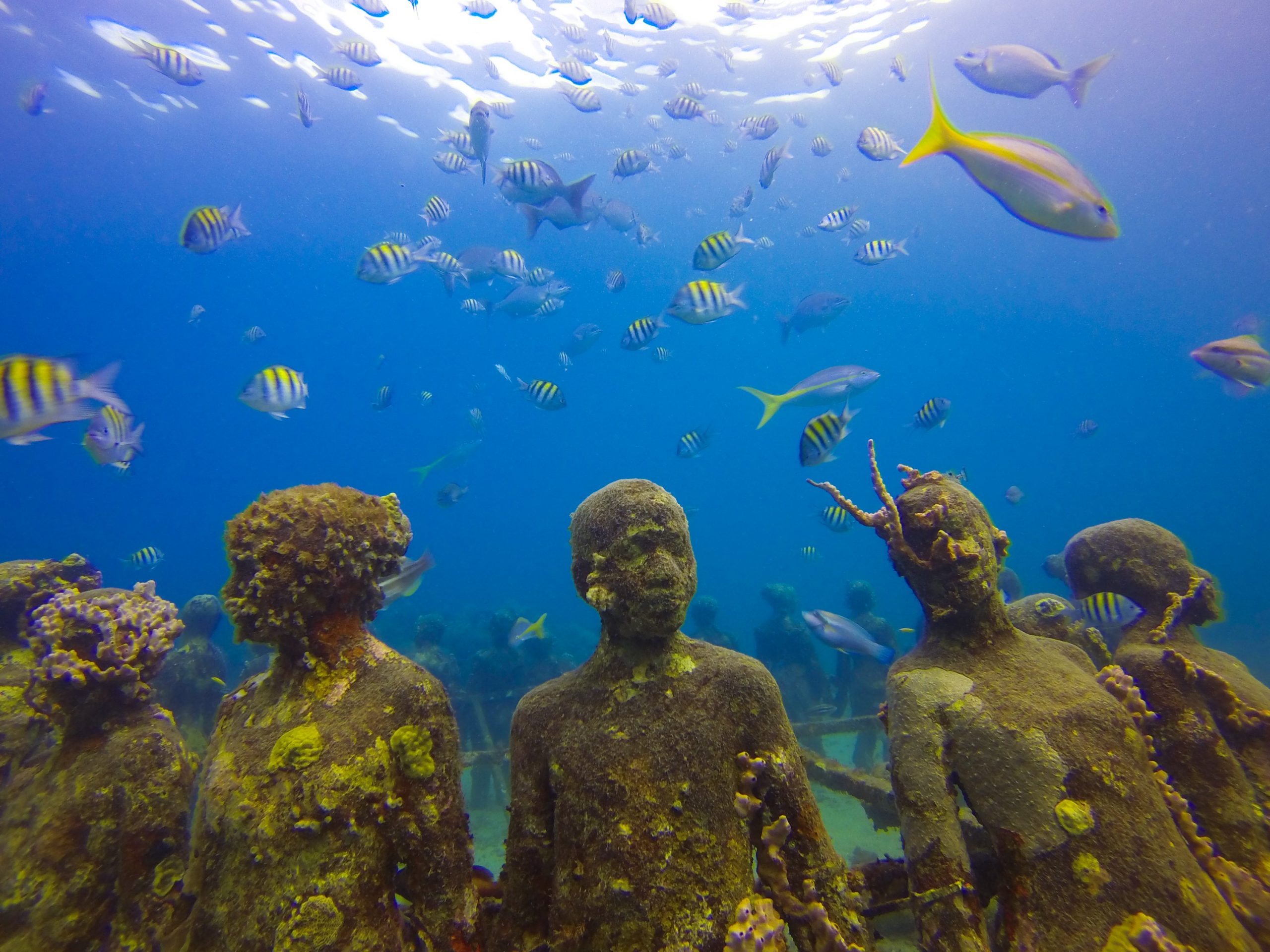 Why you need to visit the Grenada Underwater Sculpture Park Dream Yacht Worldwide