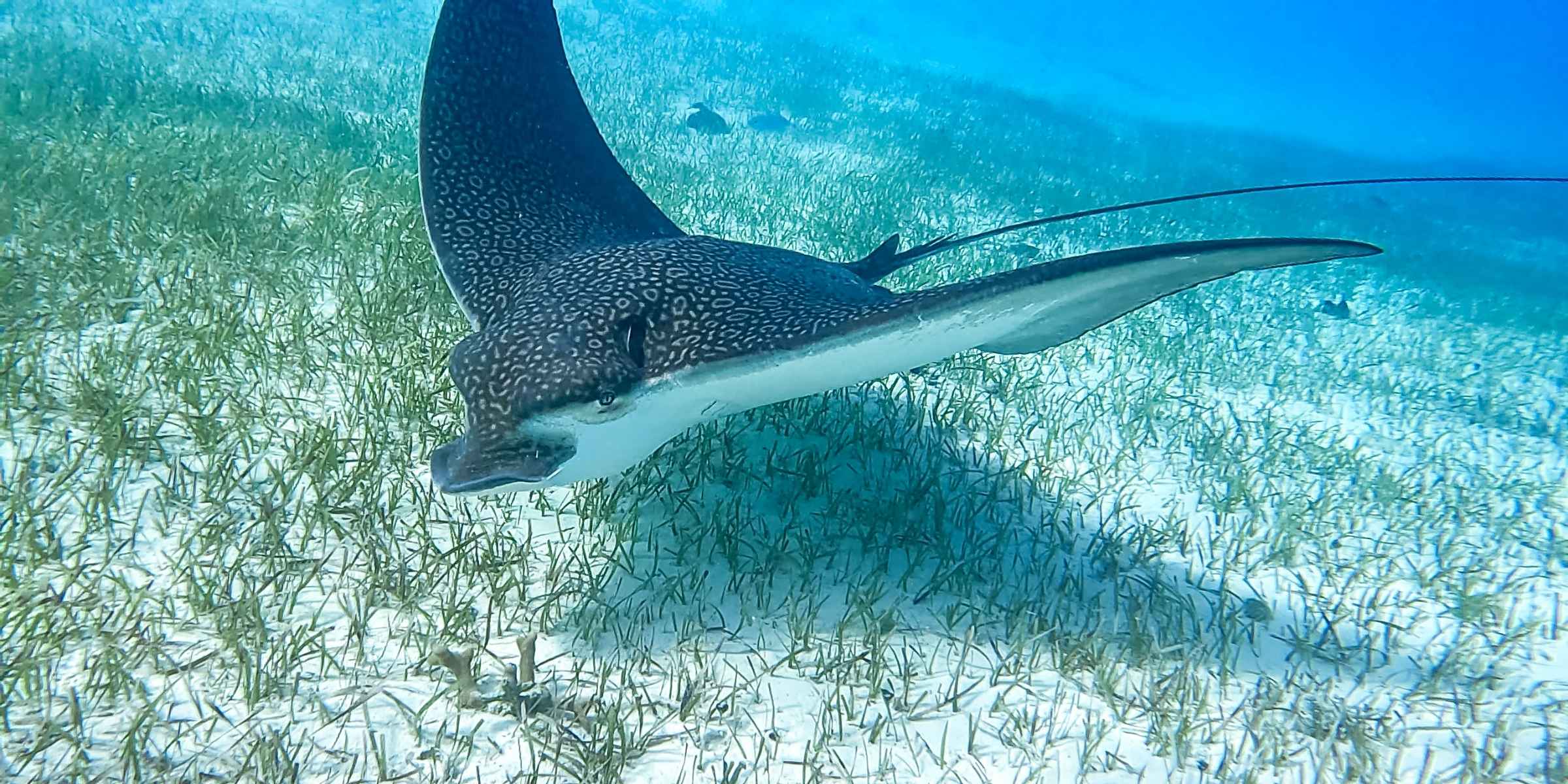 National Parks of The Bahamas