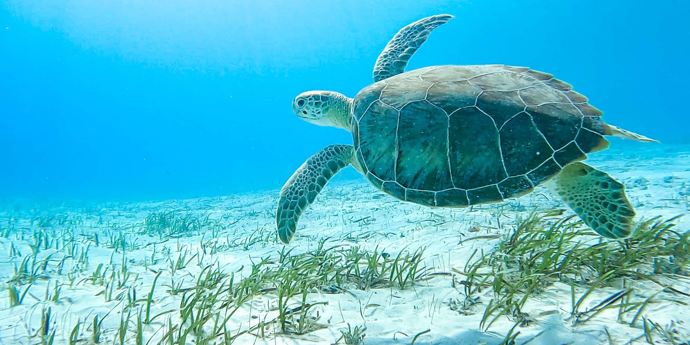 Exuma Cays Land and Sea Park