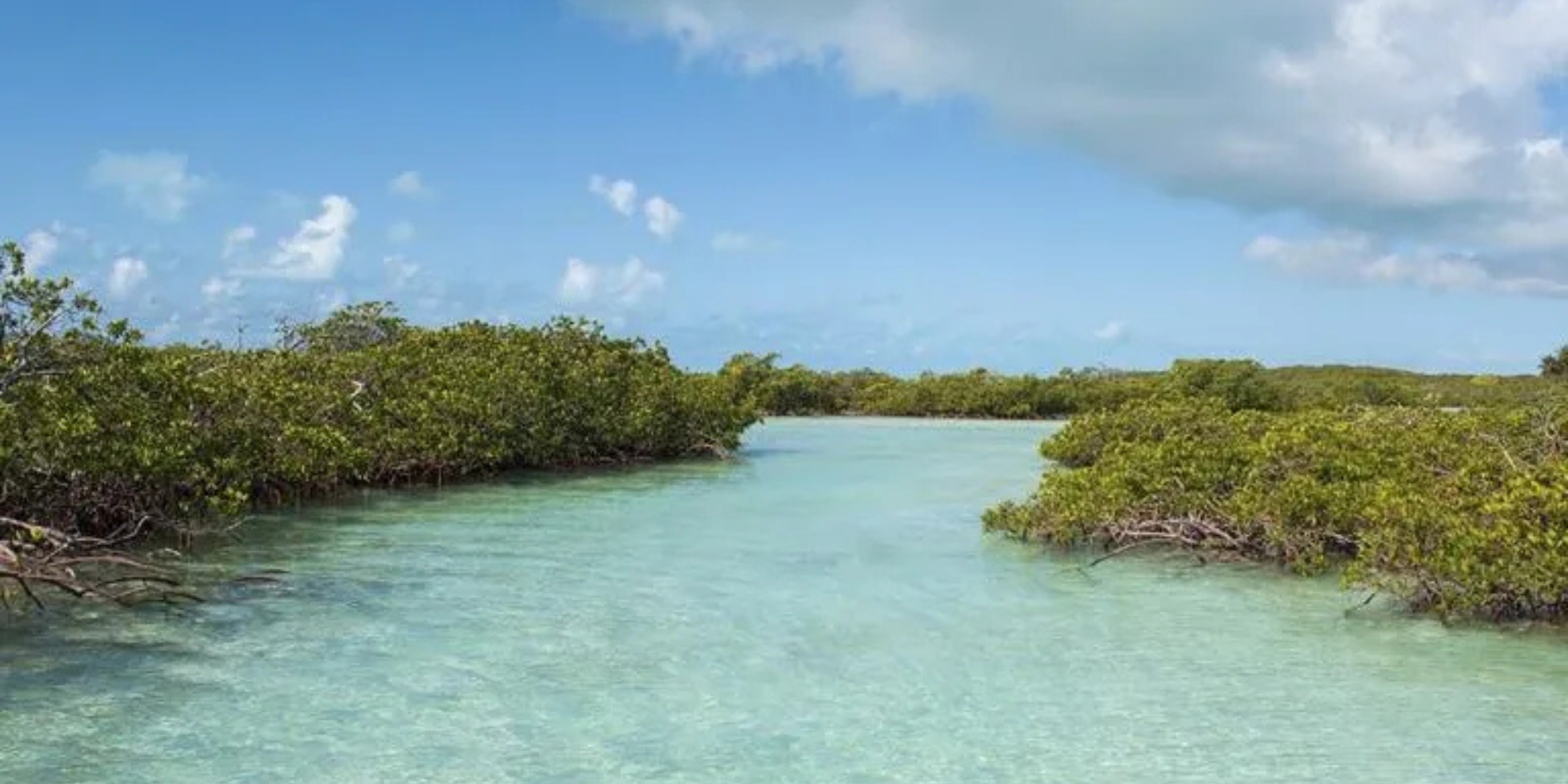 Moriah Harbour Cay