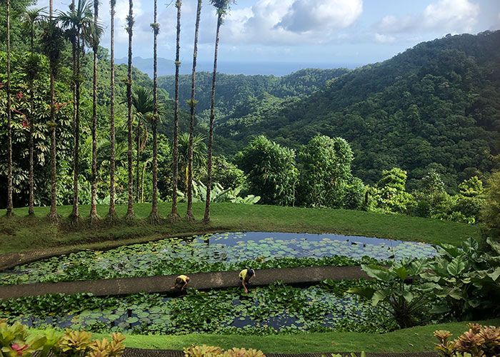 Martinique