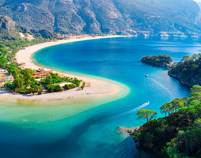 turkey